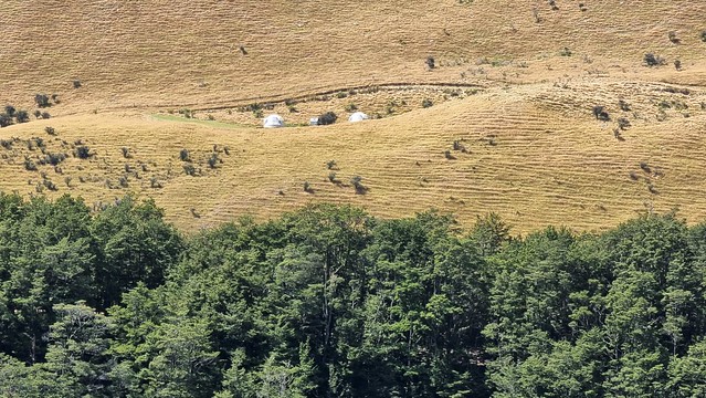 Moke Lake Glamping