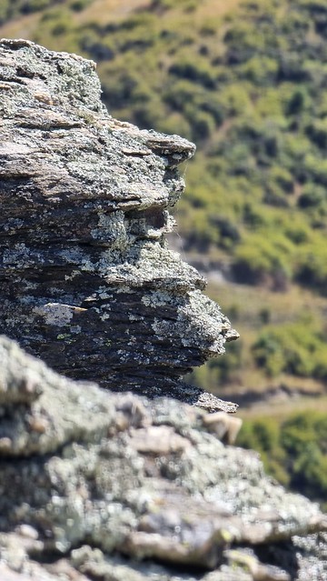 Lake Dunstan Trail