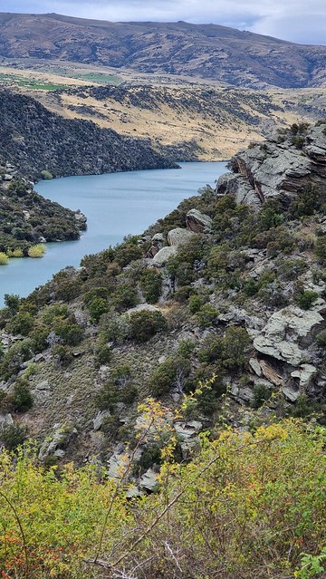 Roxburgh Gorge