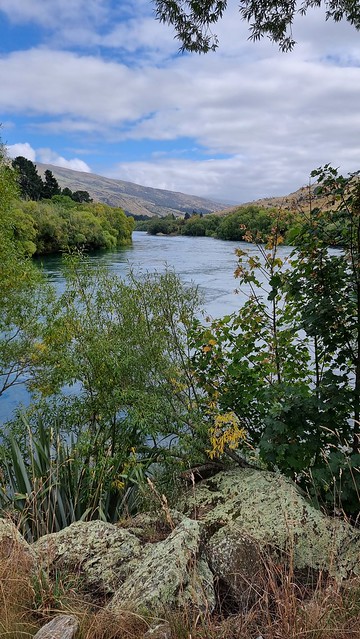 Clutha Gold Trail