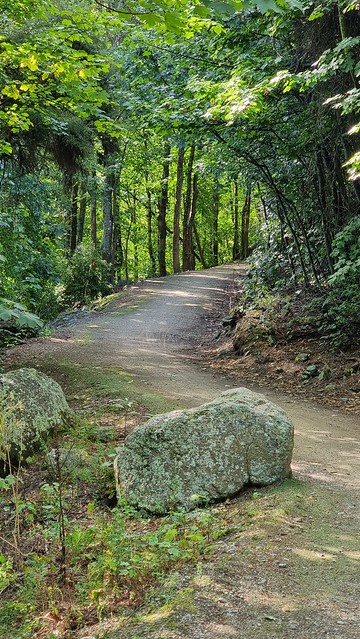 Clutha Gold Trail