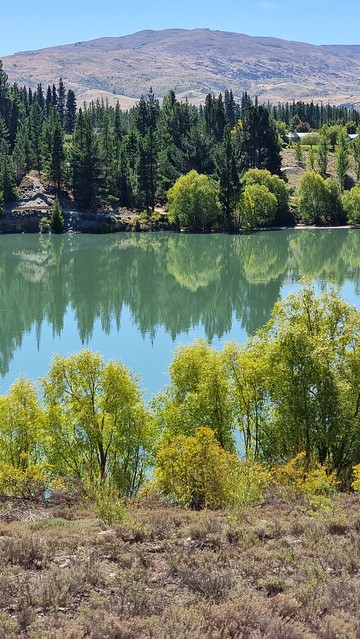 Lake Dunstan Trail