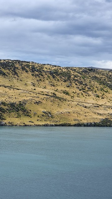 Gold & Grey Hills