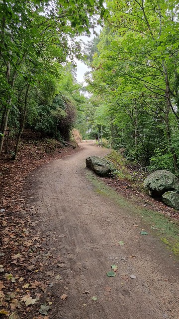 Clutha Gold Trail