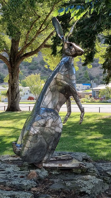 Roxburgh Hare