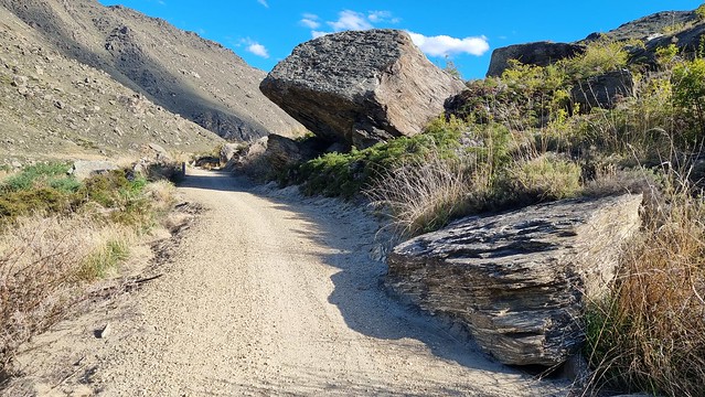 Roxburgh Gorge Trail