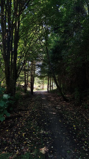Clutha Gold Trail