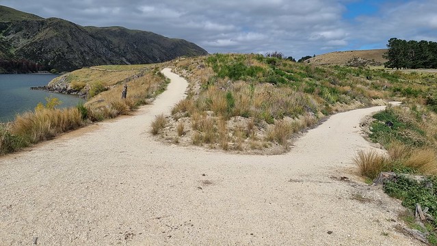 Waitaki views