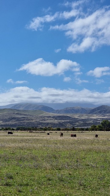 Grazing