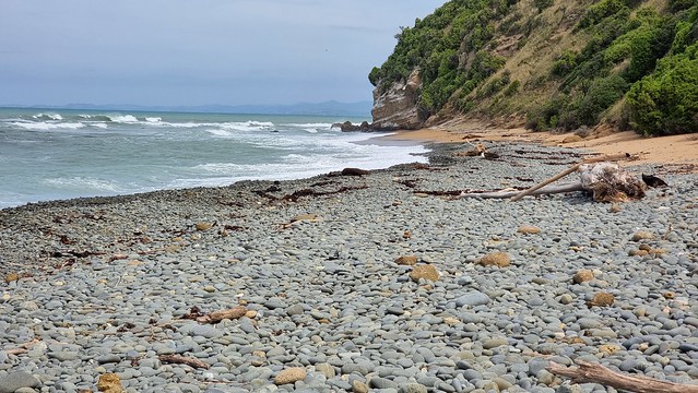 Bushy Beach
