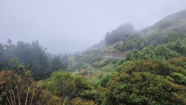 Port Hills 'View'