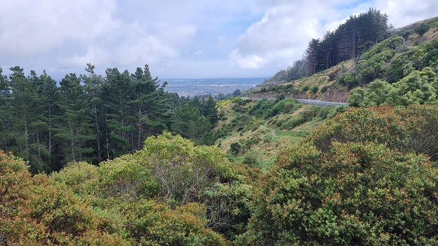 Port Hills View!