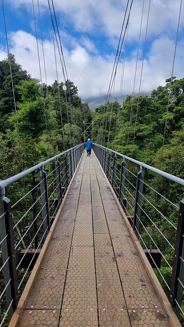 Hokitika Gorge Walk