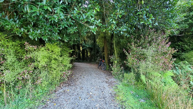 Back into the bush