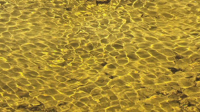 Tannin Water