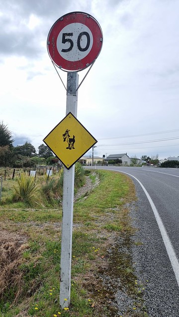 Blackball signs