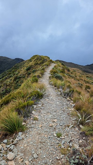 Papāroa Track Ces to Moonlight Tops Hut