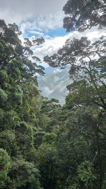 Papāroa Track Moonlight Tops to Pororari Hut