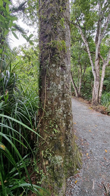 Truman Beach Trail