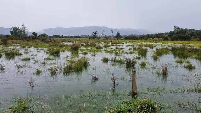A bit damp