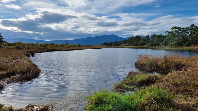 Towards Denniston