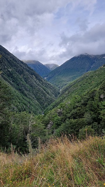 Lewis Pass View SH7