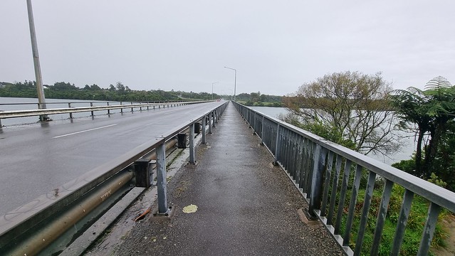 Buller river bridge