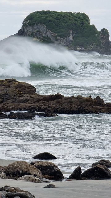Tauranga Bay