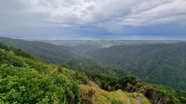 The view