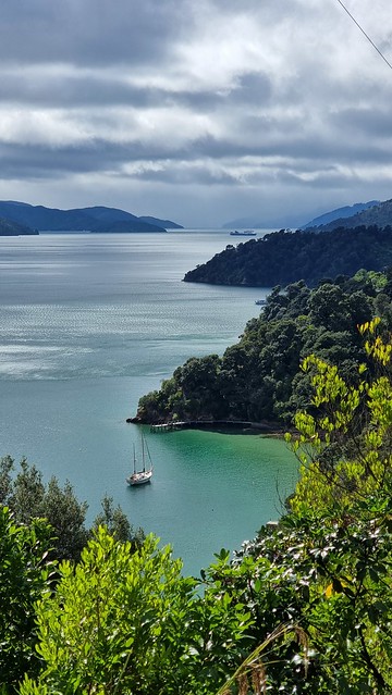 Link Pathway | Queen Charlotte Sound