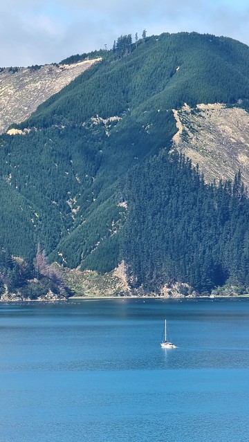 Yacht for scale