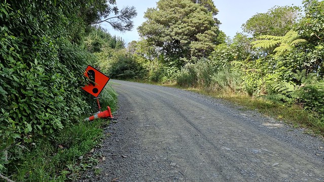 Port Underwood Rd!