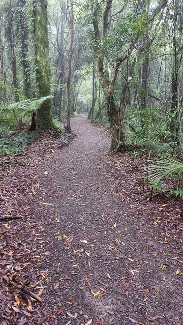 Belmont Trig Trail