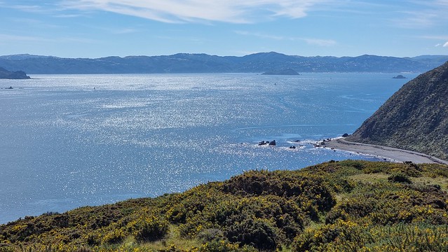 Pencarrow Head view