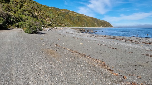 Pencarrow Coastal Trail
