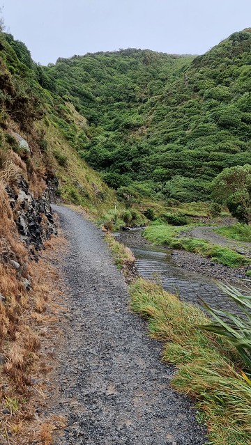 Belmont Trig Trail
