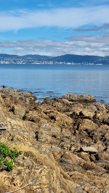 Wellington revealed
