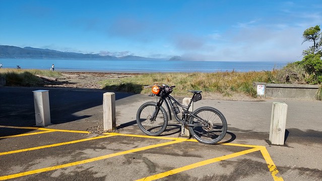 Petone foreshore