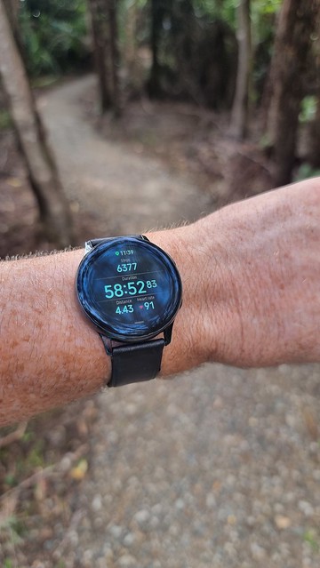Muir Track, Whatipu