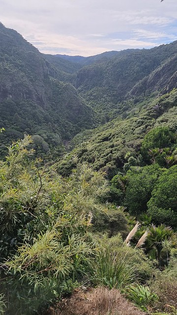 Muir Track, Whatipu