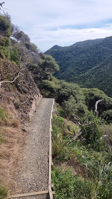 Muir Track, Whatipu