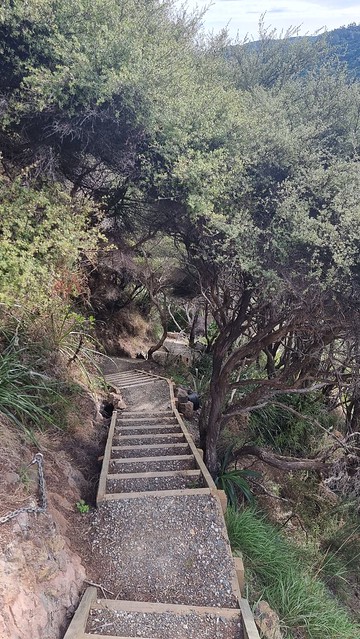 Muir Track, Whatipu