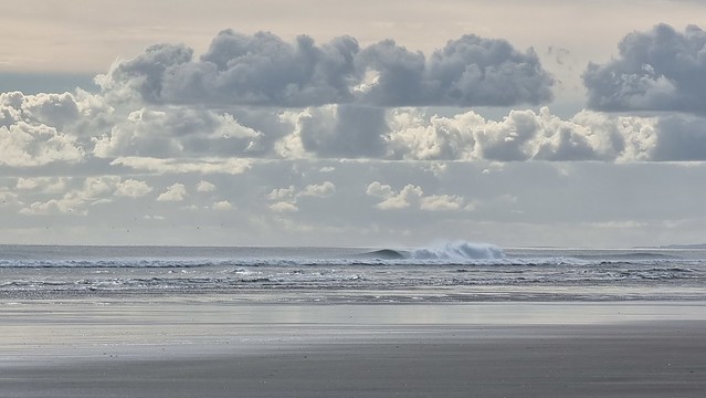 Whatipu Beach