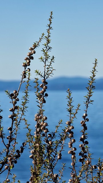 Waihora Trail