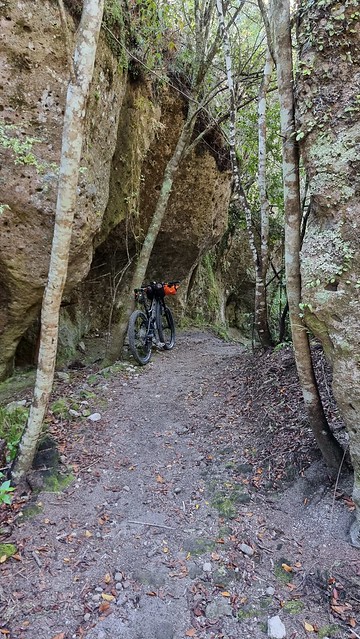Waihora Trail