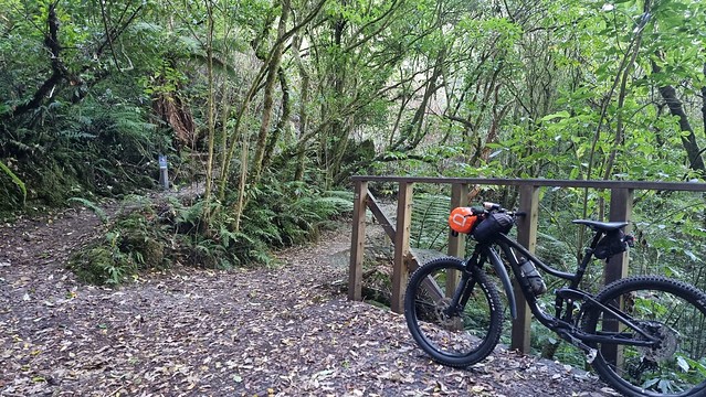 Waihora Trail