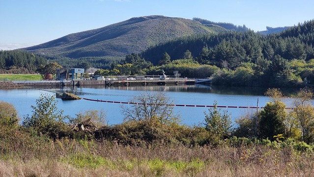 Lake Atiamuri & Dam