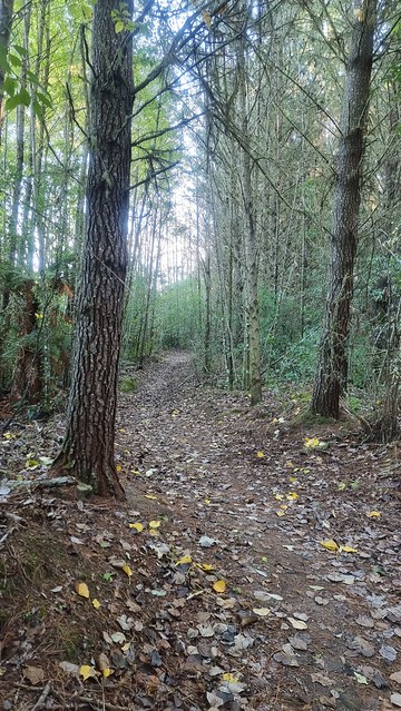 Waikato River Trail