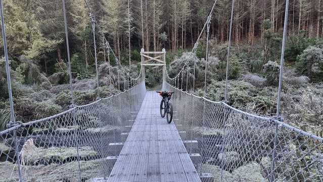 Waihaha Trail frost