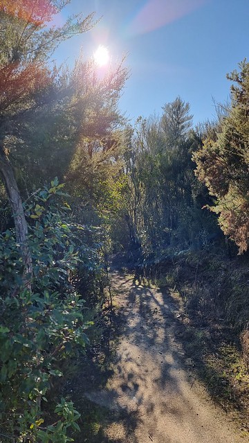 Waihaha Trail